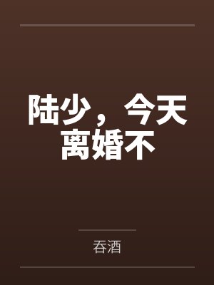 陆少，今天离婚不