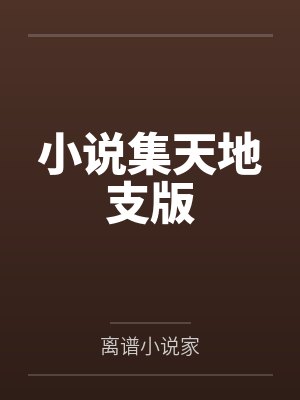 小说集天地支版