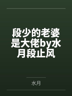 段少的老婆是大佬by水月段止风