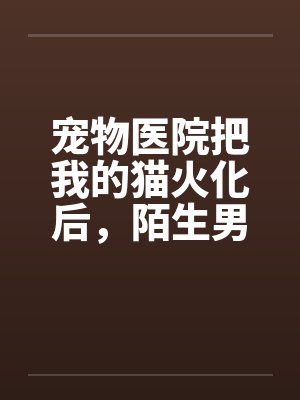 宠物医院把我的猫火化后，陌生男人说我是他老婆