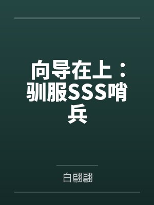 向导在上:驯服SSS哨兵