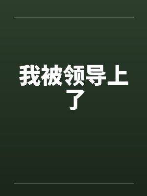 我被领导上了