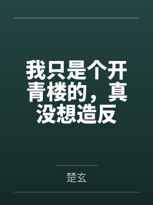 我只是个开青楼的,真没想造反