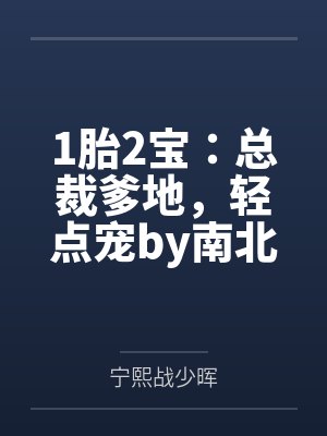 1胎2宝:总裁爹地,轻点宠by南北宁熙